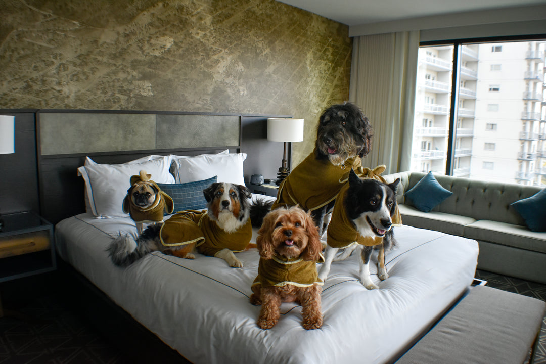 Branded Dog Robes