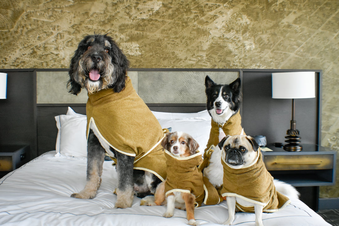 Branded Dog Robes