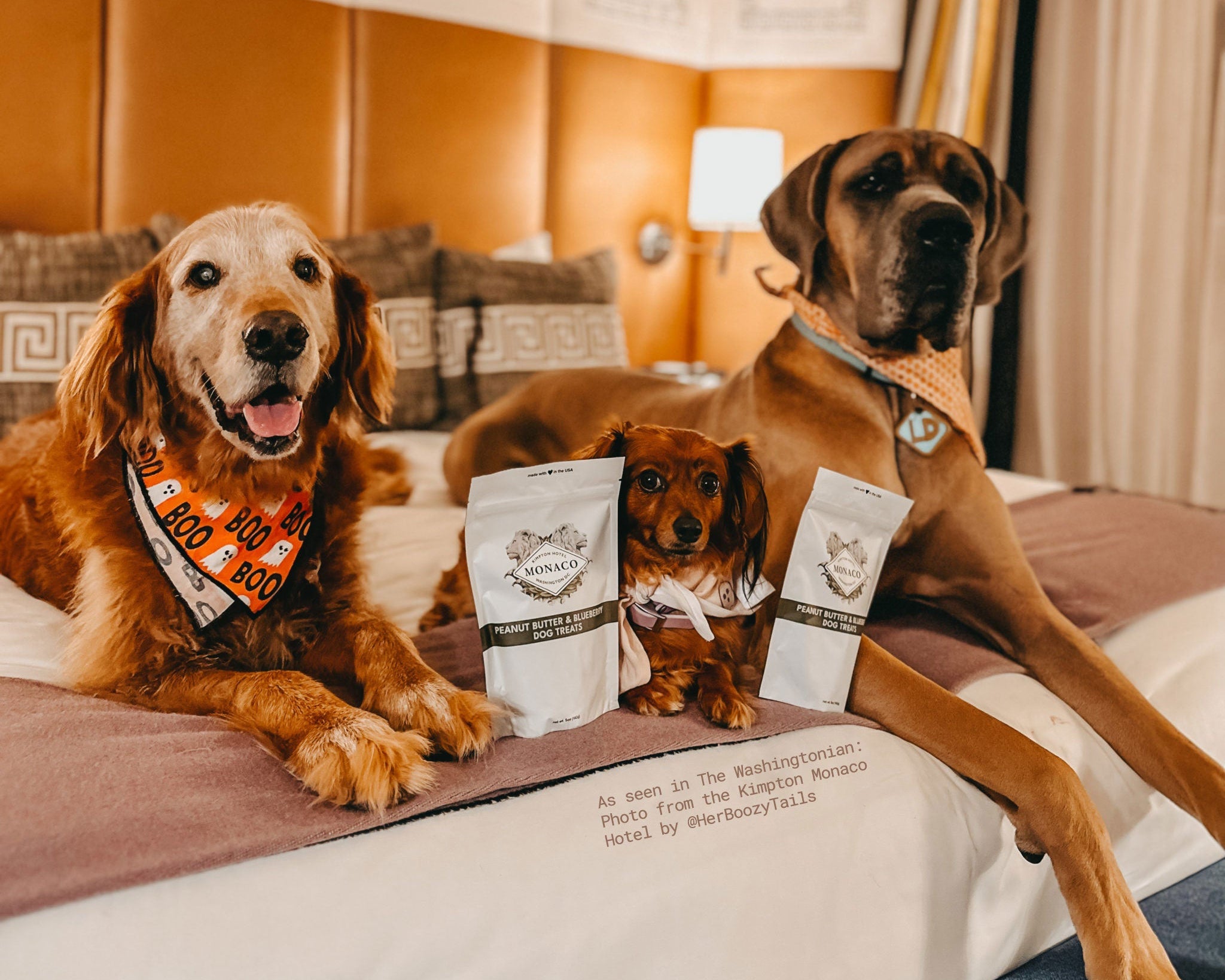 As seen in The Washingtonian: Photo from the Kimpton Monaco Hotel by @HerBoozyTails